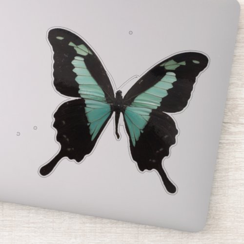 Teal Butterfly Sticker