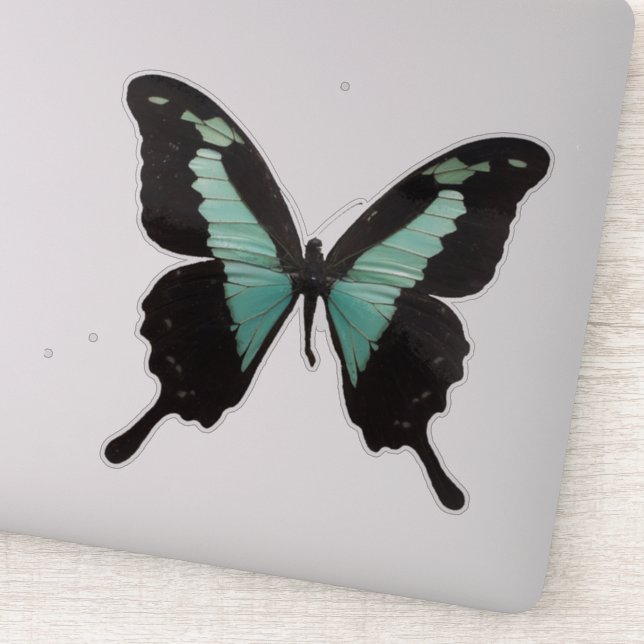 Teal Butterfly Sticker (Detail)
