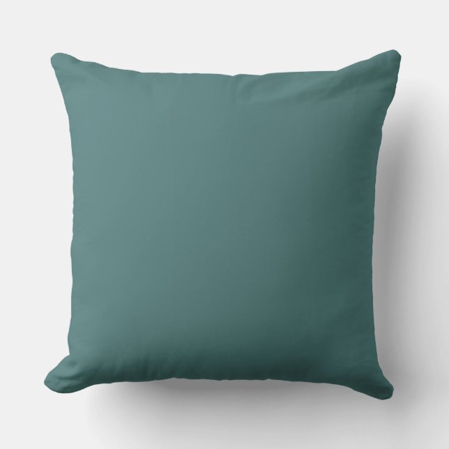 Teal Color Matched Outdoor Pillow (Front)