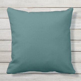 Teal Color Matched Outdoor Pillow