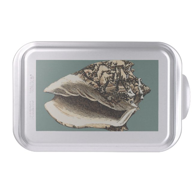 Teal Conch Shell Cake Pan (Front)