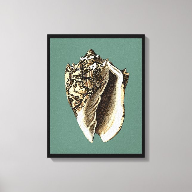 Teal Conch Shell Canvas Print (Front)