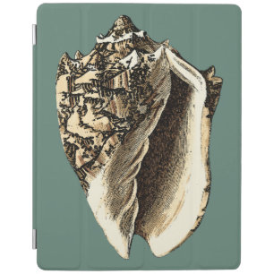 Teal Conch Shell iPad Smart Cover