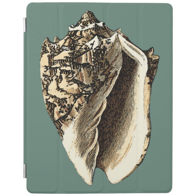 Teal Conch Shell iPad Smart Cover (Front)