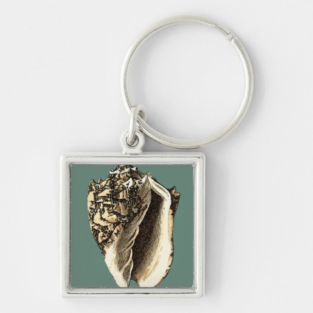 Teal Conch Shell Keychain (Front)