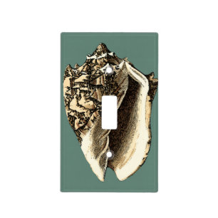 Teal Conch Shell Light Switch Cover
