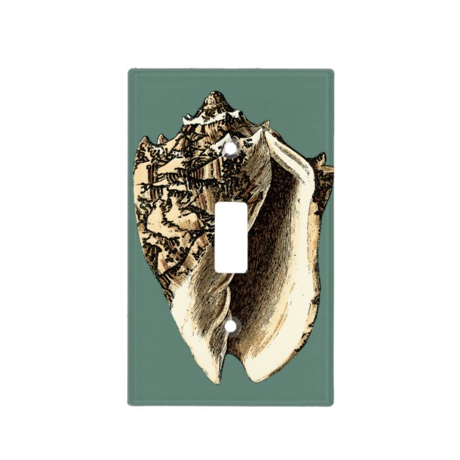 Teal Conch Shell Light Switch Cover (Front)