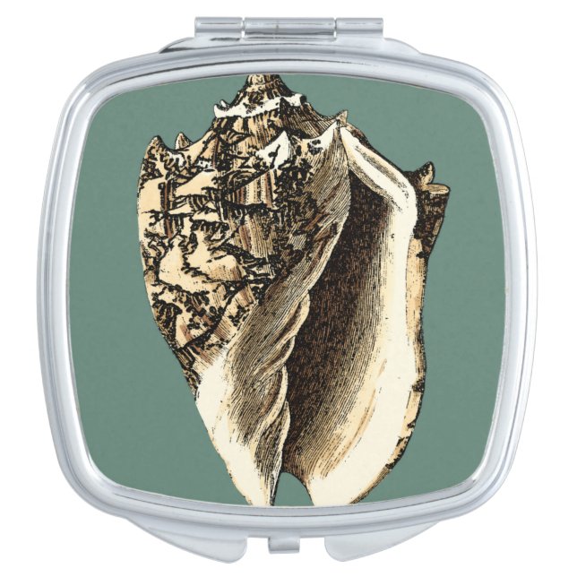 Teal Conch Shell Mirror For Makeup (Front)