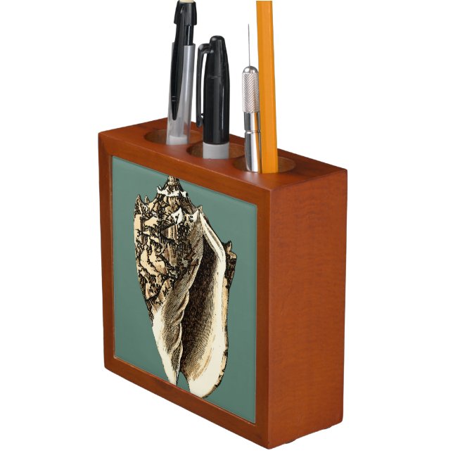 Teal Conch Shell Pencil Holder (In Situ)