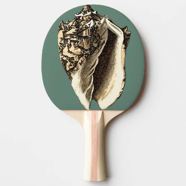 Teal Conch Shell Ping-Pong Paddle (Front)