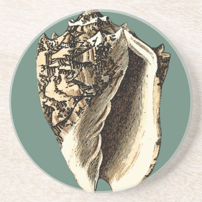 Teal Conch Shell Sandstone Coaster (Front)