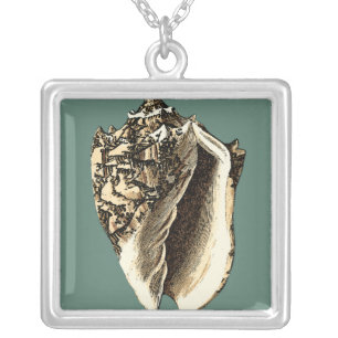 Teal Conch Shell Silver Plated Necklace
