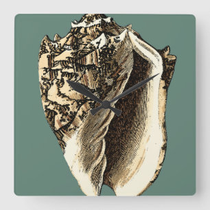 Teal Conch Shell Square Wall Clock