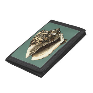 Teal Conch Shell Trifold Wallet