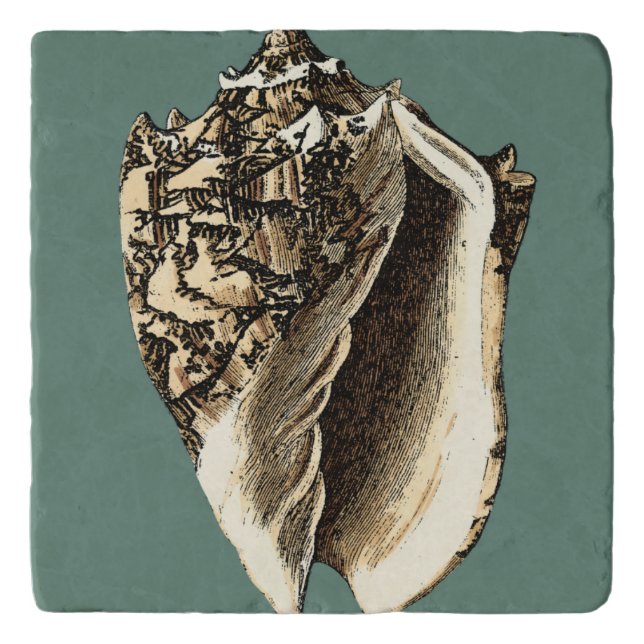 Teal Conch Shell Trivet (Front)