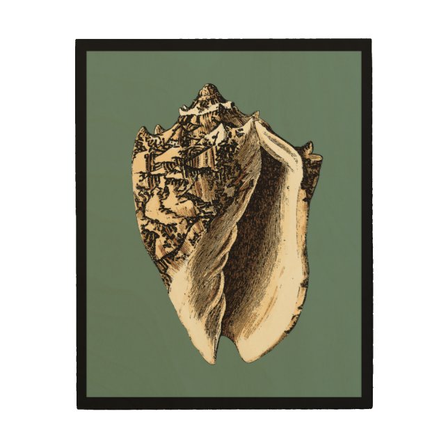 Teal Conch Shell Wood Wall Decor (Front)