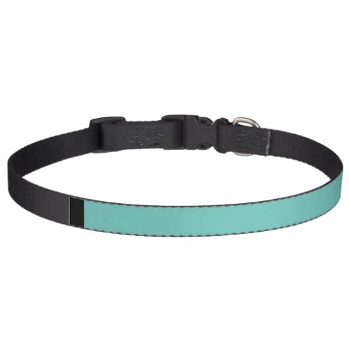 Teal Dog Collar