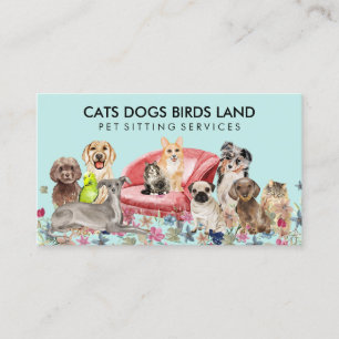 Teal Dogs Cat Bird Hotel Sofa Pet Sitting Grooming Business Card