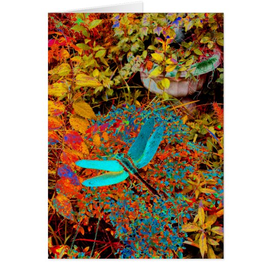 Teal Dragonfly Cards (Front)