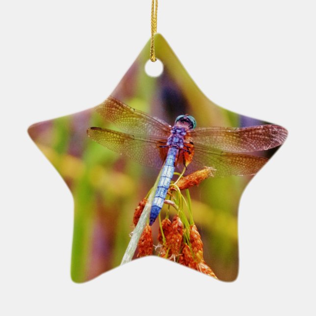 Teal Dragonfly on sedge Ceramic Ornament (Front)