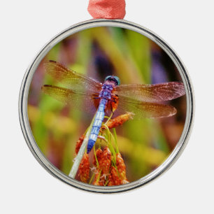 Teal Dragonfly on sedge Metal Ornament