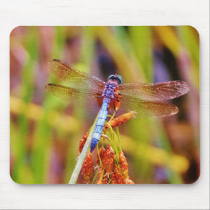 Teal Dragonfly on sedge Mouse Pad