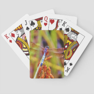 Teal Dragonfly on sedge Poker Cards
