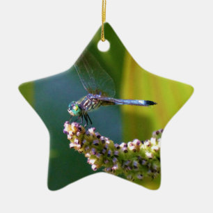 Teal eyed Dragonfly Ceramic Ornament