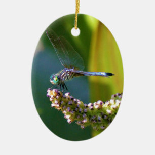 Teal eyed Dragonfly Ceramic Ornament
