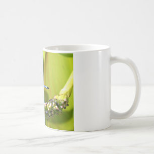 Teal eyed Dragonfly Coffee Mug