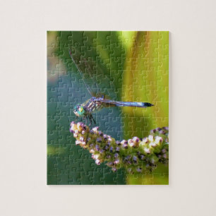 Teal eyed Dragonfly Jigsaw Puzzle