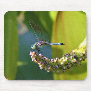 Teal eyed Dragonfly Mouse Pad