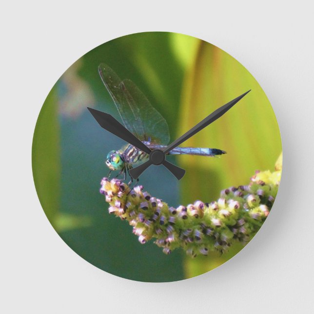 Teal eyed Dragonfly Round Clock (Front)