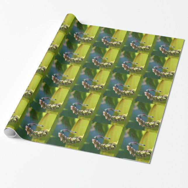 Teal eyed Dragonfly Wrapping Paper (Unrolled)