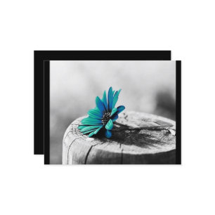 Teal Flower Postcard