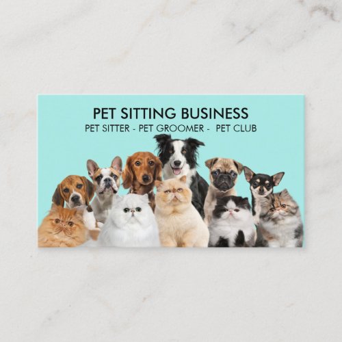 Teal Funny Pet Dogs Cats Business Card