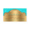 Teal Gold African American Hair Stylist Salon