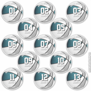 teal gray team colors gifts 13 basketball stickers