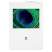 Teal Green Blue Peacock Feather Print / Pattern Cards (Back)