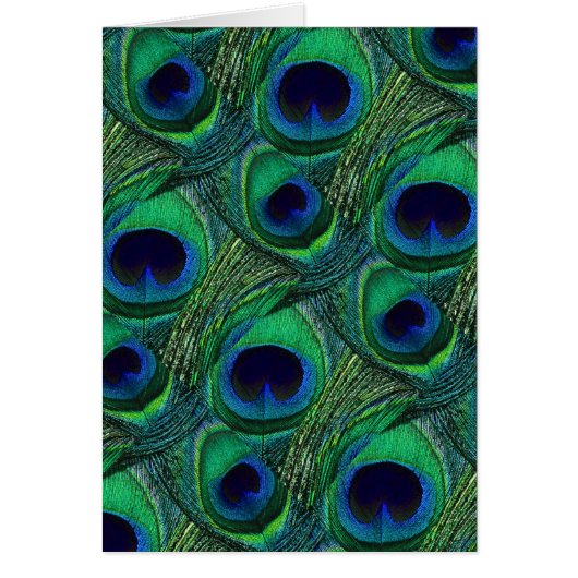 Teal Green Blue Peacock Feather Print / Pattern Cards (Front)