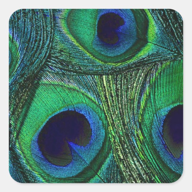 Teal Green Blue Peacock Feather Stickers / Seals (Front)