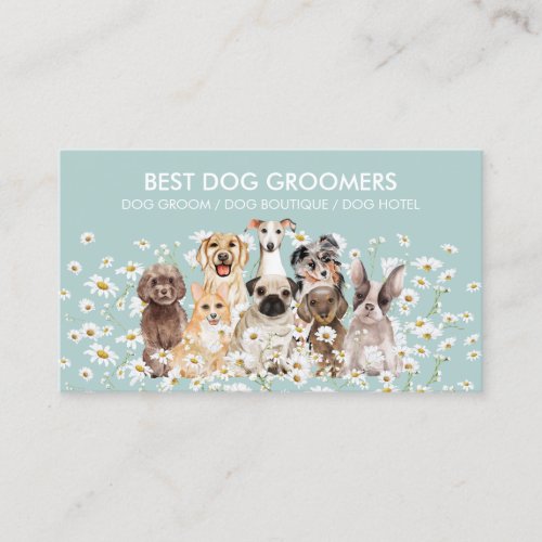 Teal Green Daisy PetSitter dog care veterinary Business Card