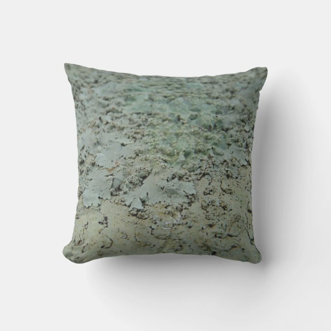 teal green gray lichen abstract pattern pillow (Front)