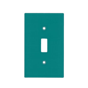 Teal Light Switch Cover