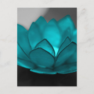 Teal Lotus Postcard