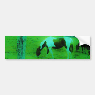 Teal mist Reto colored painted pony Horse Bumper Sticker