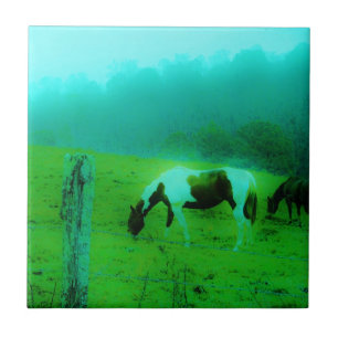 Teal mist Reto colored painted pony Horse Tile
