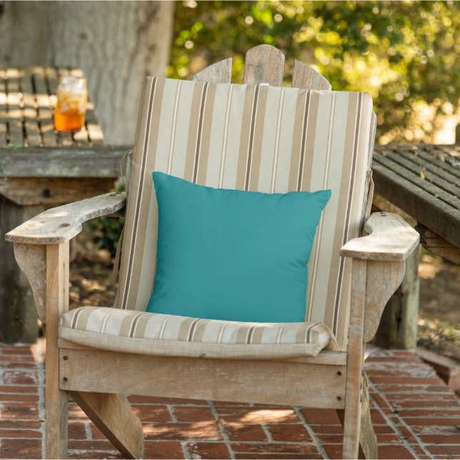 Teal Outdoor Pillow (Chair)