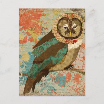 Teal Owl Postcard by Greyszoo at Zazzle