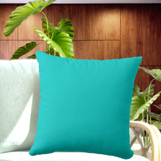 Teal peacock Blue pillow